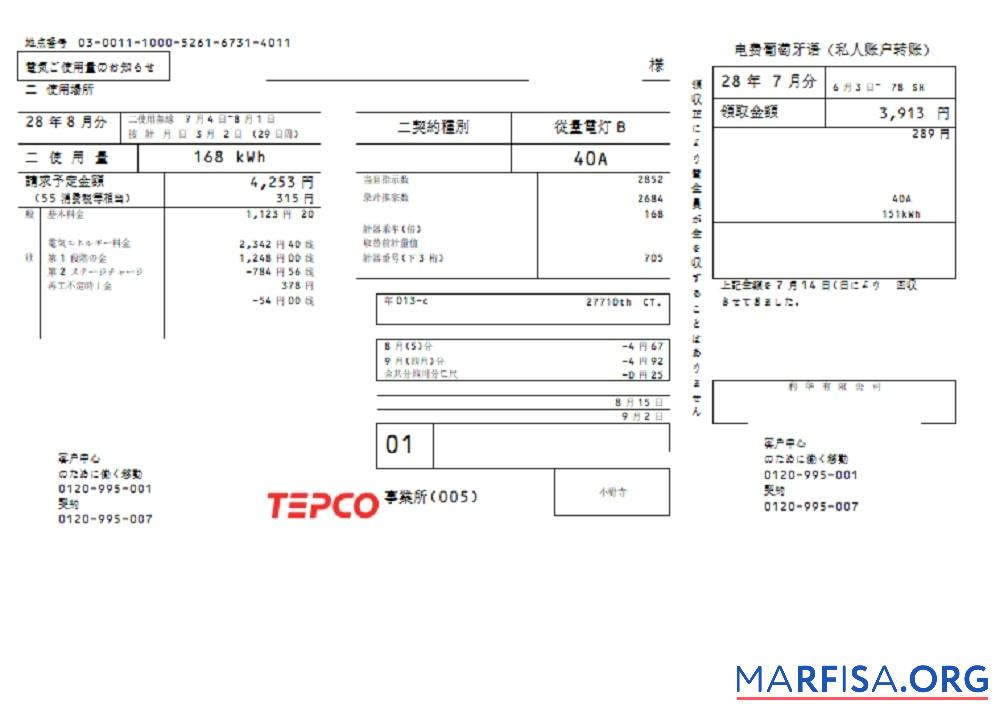 Realistic Japan Tokyo Electric Power Company (TEPCO) electricity utility bill template in Word and PDF format ( 東京電力ユーティリティ請求書テンプレート)